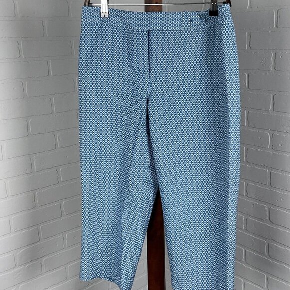 Ann Taylor Pants Women 8 31Wx20LBlue White Margo Silk Crop‎ Capris Party Career - Picture 1 of 10
